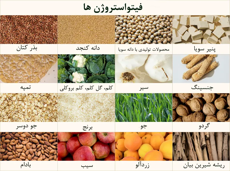 - دکتر حمید رضوانی -