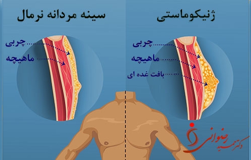 - دکتر حمید رضوانی -