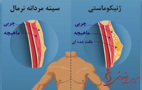 - دکتر حمید رضوانی -